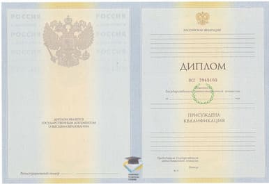 Диплом НГМУ 2010-2011 годов